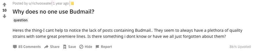 Budmail user reviews and feedback