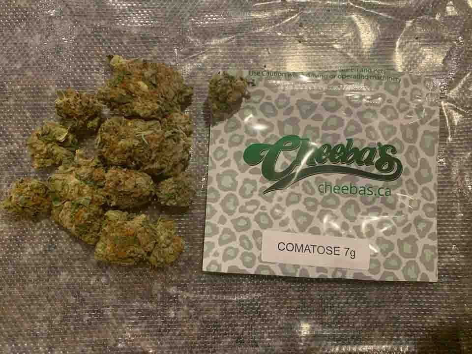 Comatose indica weed