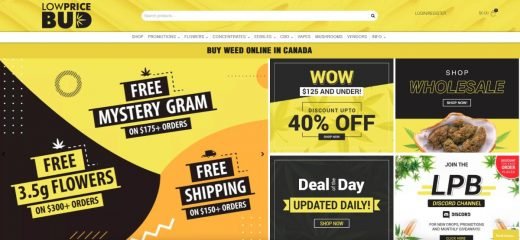 low price bud review